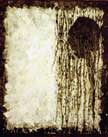 lionel Cohen